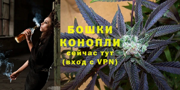 прущие грибы Балахна