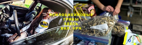 прущие грибы Балахна
