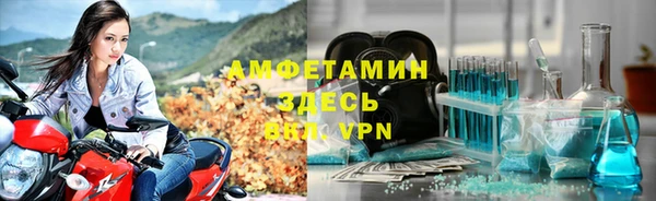 прущие грибы Балахна