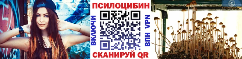 что такое   Пролетарск  Псилоцибиновые грибы ЛСД 
